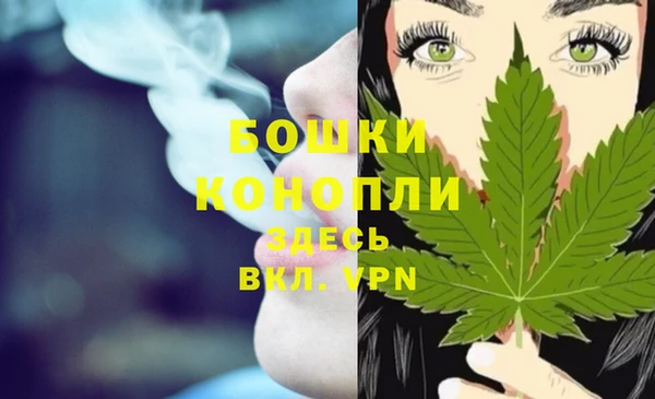 спайс Арсеньев