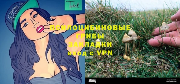 ALPHA-PVP Карталы
