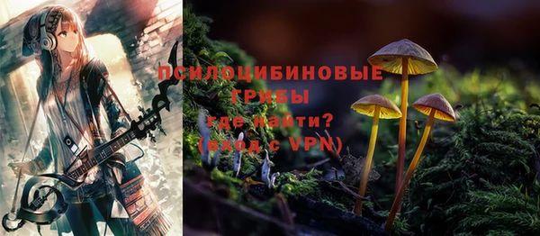 спайс Арсеньев