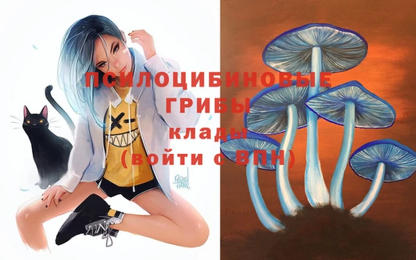марки lsd Карпинск