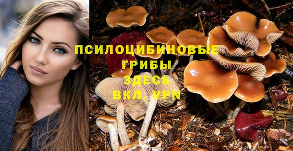 каннабис Аркадак